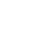 Immediate Force - LEADING STRATEGIES